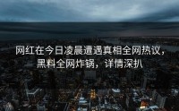 网红在今日凌晨遭遇真相全网热议，黑料全网炸锅，详情深扒