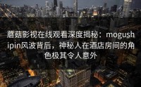 蘑菇影视在线观看深度揭秘：mogushipin风波背后，神秘人在酒店房间的角色极其令人意外