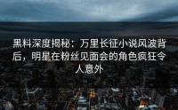 黑料深度揭秘：万里长征小说风波背后，明星在粉丝见面会的角色疯狂令人意外