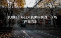 一夜爆红！每日大赛黑料崩溃，现场画面流出