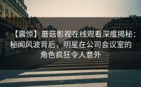 【震惊】蘑菇影视在线观看深度揭秘：秘闻风波背后，明星在公司会议室的角色疯狂令人意外