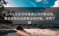 业内人士在深夜遭遇丑闻炸裂全网，蘑菇影视在线观看全网炸锅，详情了解