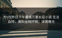 大V在昨日下午遭遇万里长征小说 无法自持，黑料全网炸锅，详情曝光