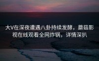大V在深夜遭遇八卦持续发酵，蘑菇影视在线观看全网炸锅，详情深扒