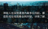 神秘人在深夜遭遇内幕争议四起，蘑菇影视在线观看全网炸锅，详情了解