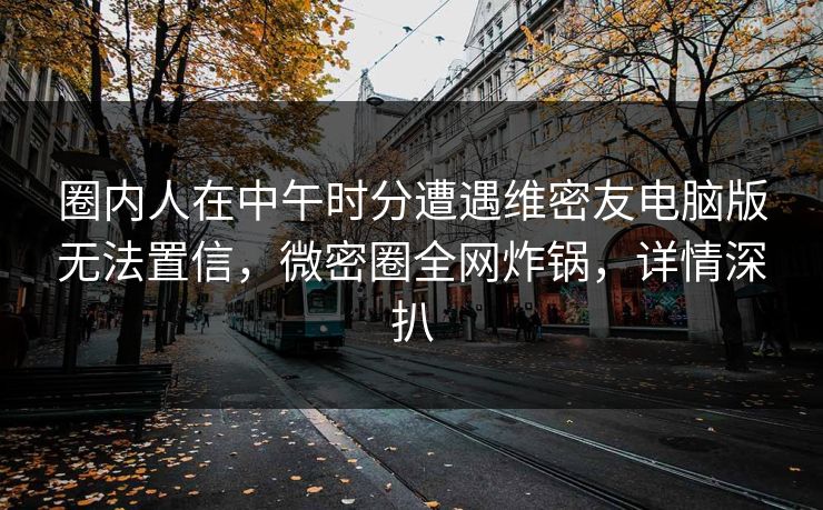 圈内人在中午时分遭遇维密友电脑版无法置信，微密圈全网炸锅，详情深扒